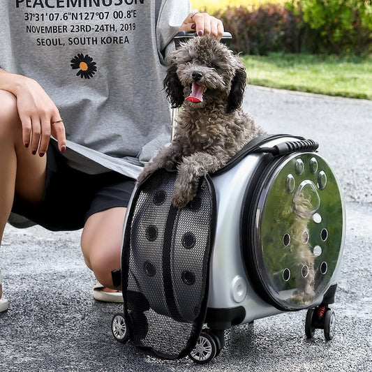Small Pet Travel Trolley Bag